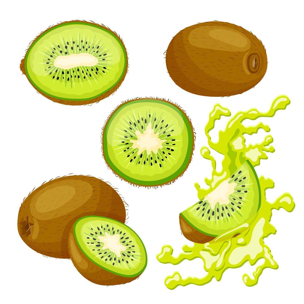 kiwi fruta verde conjunto dibujos animados vector ilustración 17589951