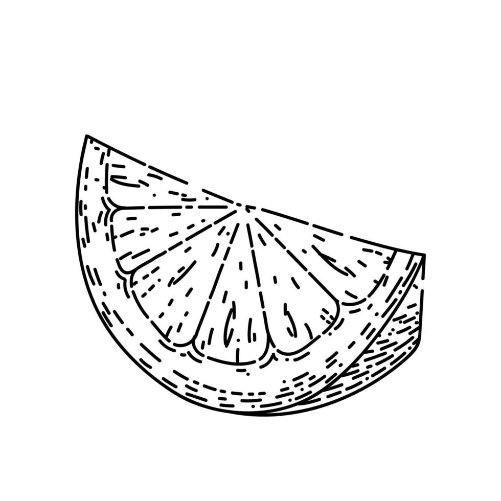 slice lemon sketch hand drawn vector