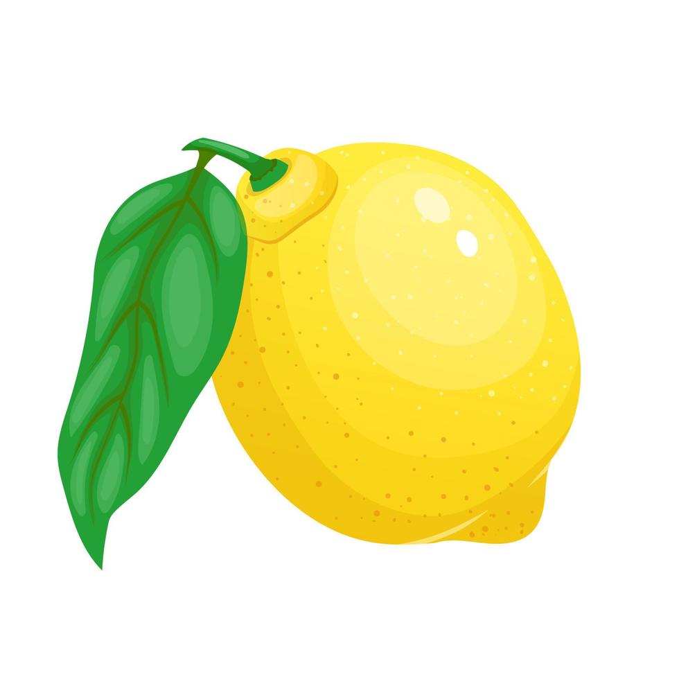 ilustración de vector de dibujos animados de corte de fruta de limón