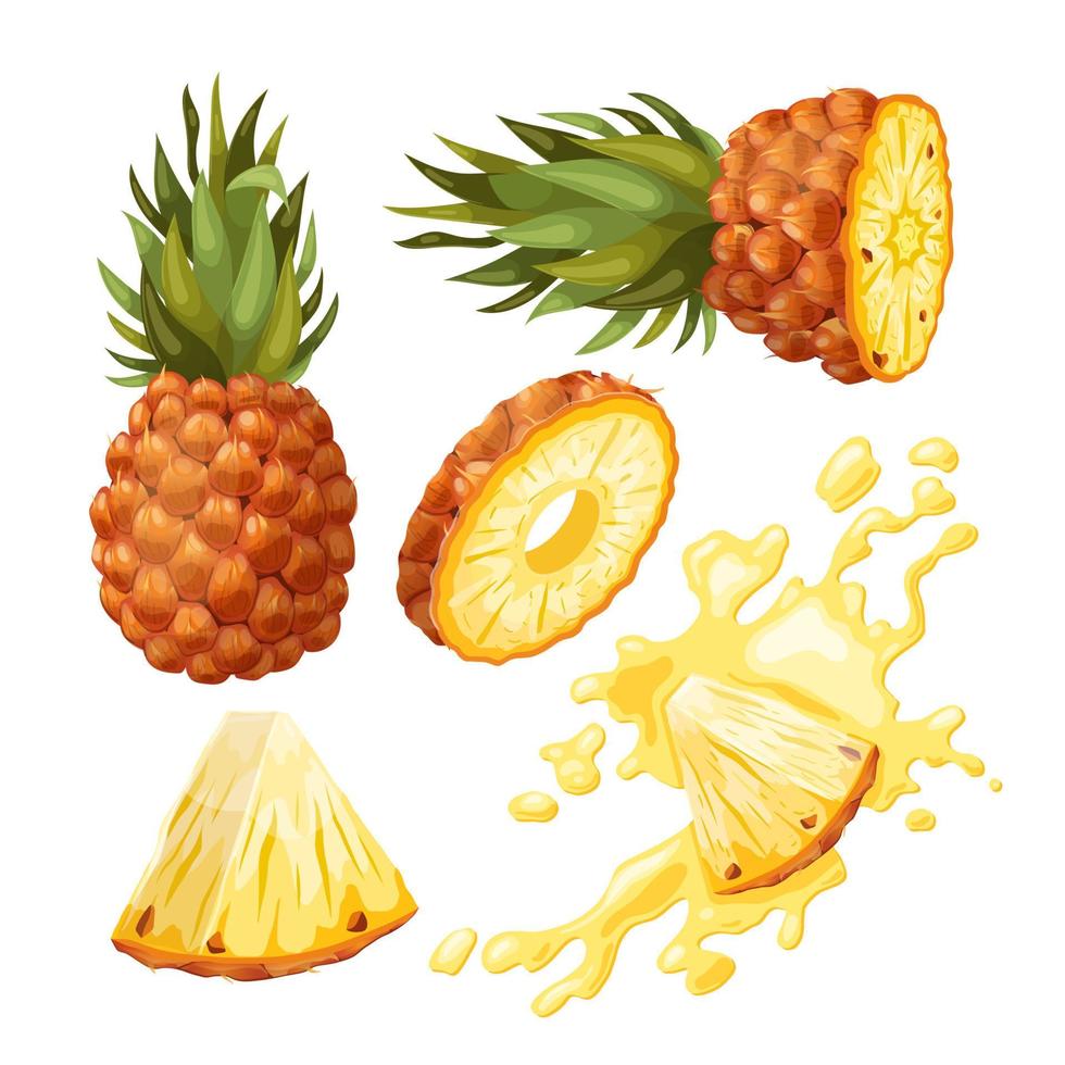 Ilustración de vector de dibujos animados de conjunto de frutas de piña