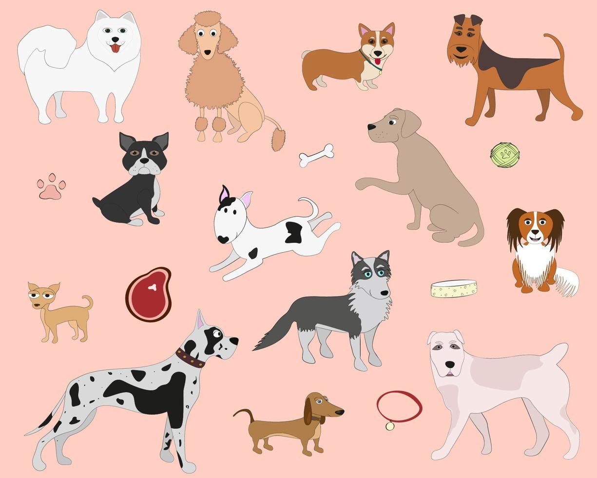 dogs of different breeds vector