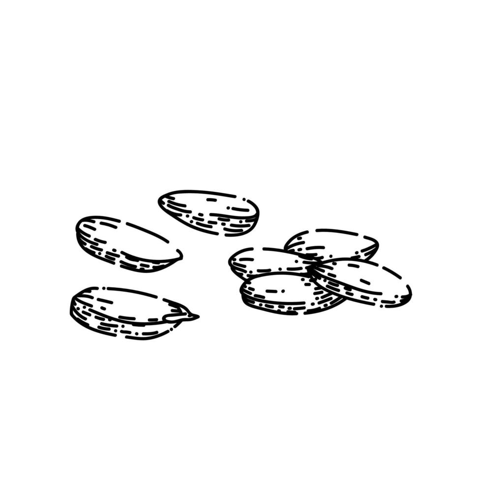 rice grain sketch hand drawn vector