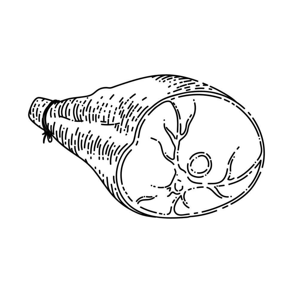 pork meat sketch hand drawn vector