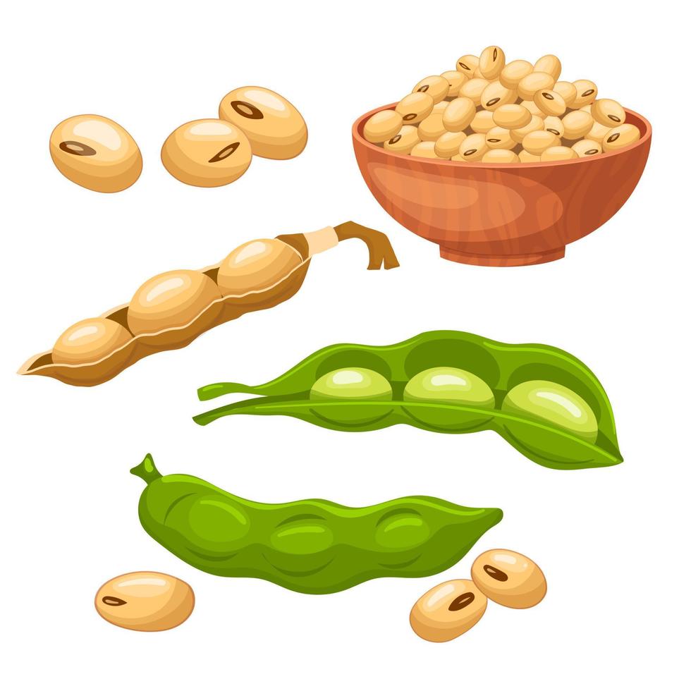 soya food bean set cartoon vector illustration