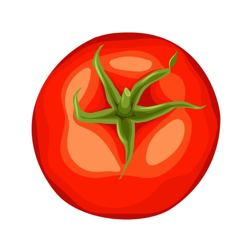 Ilustración de vector de dibujos animados de comida de tomate