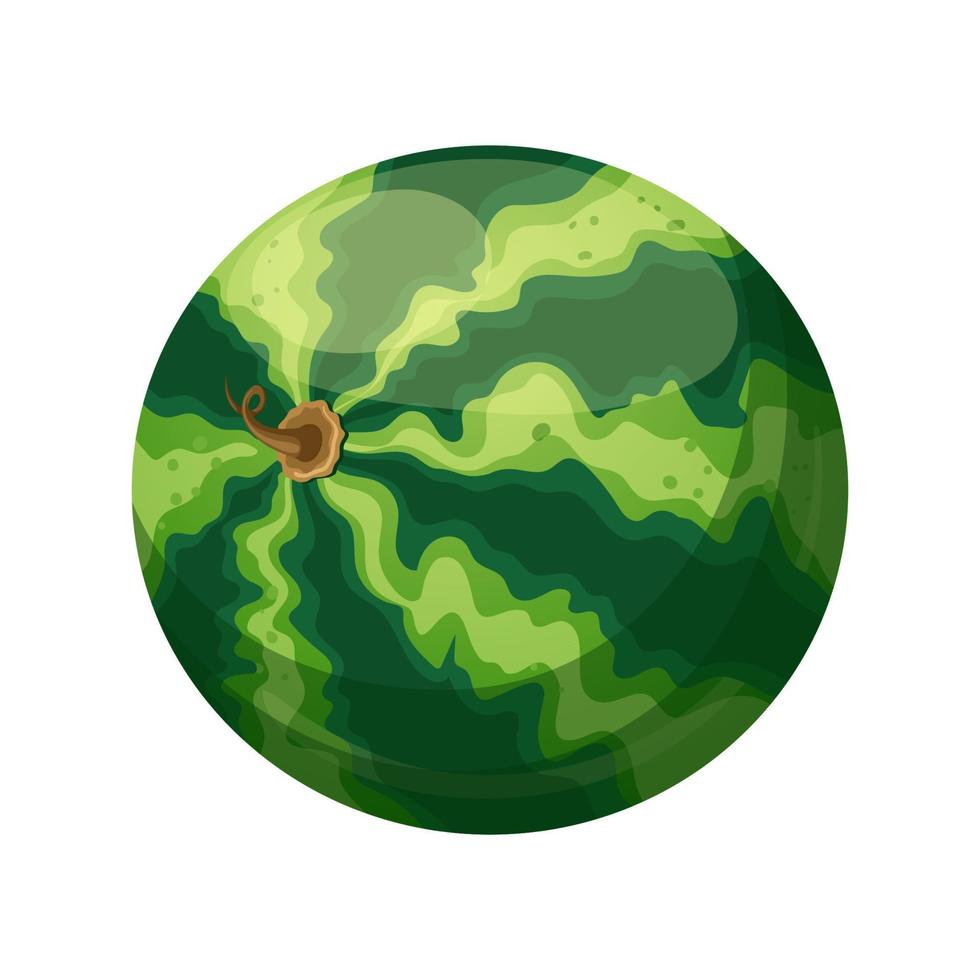 watermelon green cartoon vector illustration