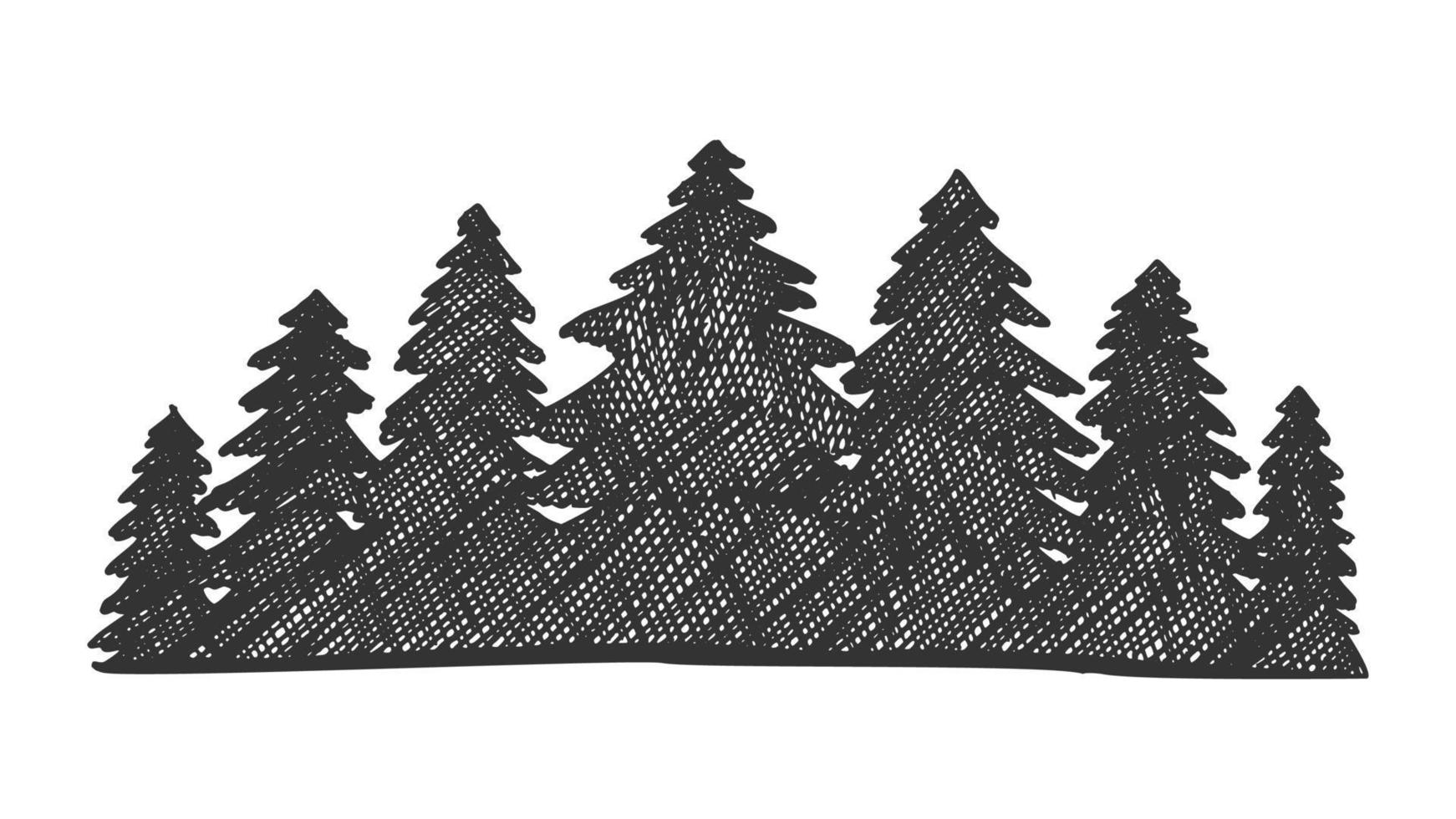 Drawn Landscape Pinery Coniferous Forest Vector