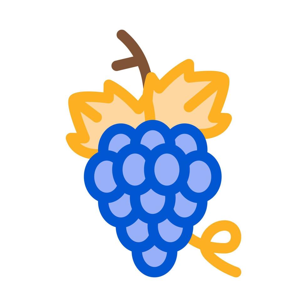 bunch of grapes icon vector outline illustration