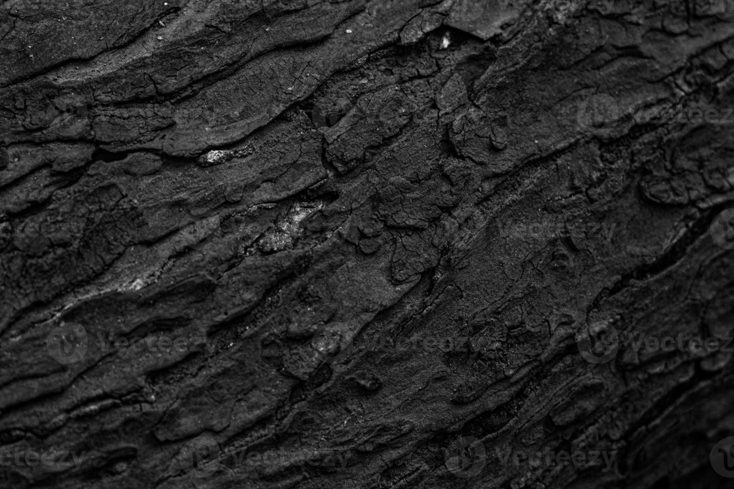 wood abstract background photo