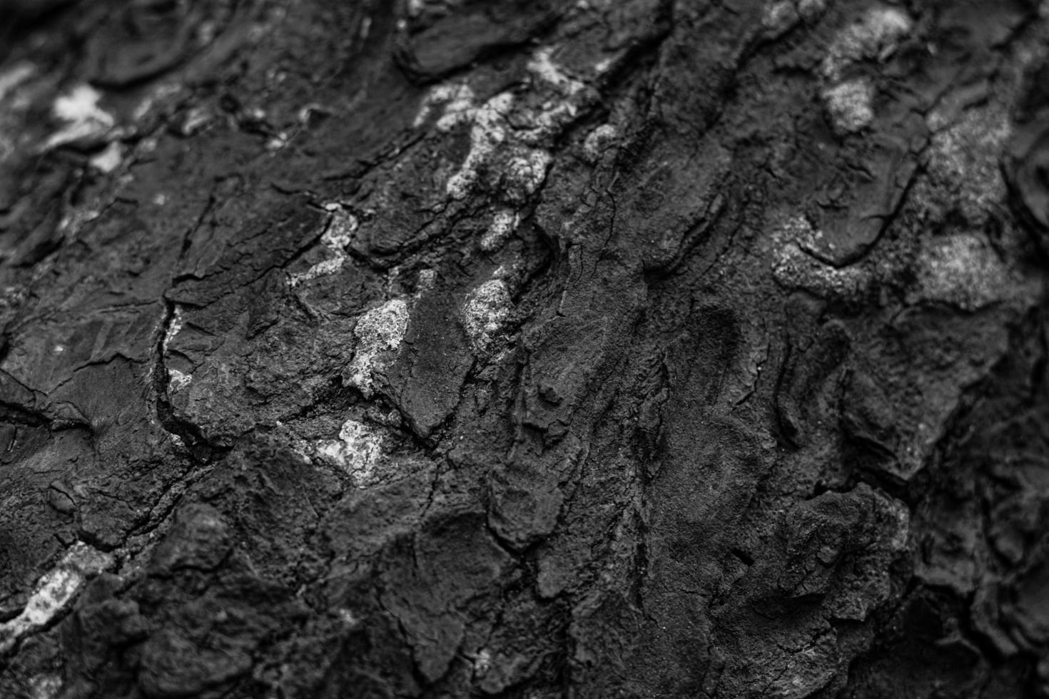 wood background - black and white stock photo
