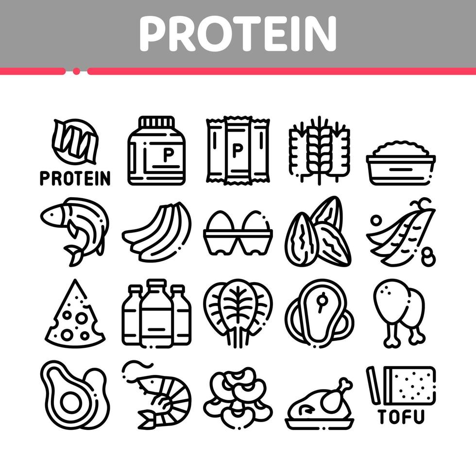 Protein Food Nutrition Collection Icons Set Vector