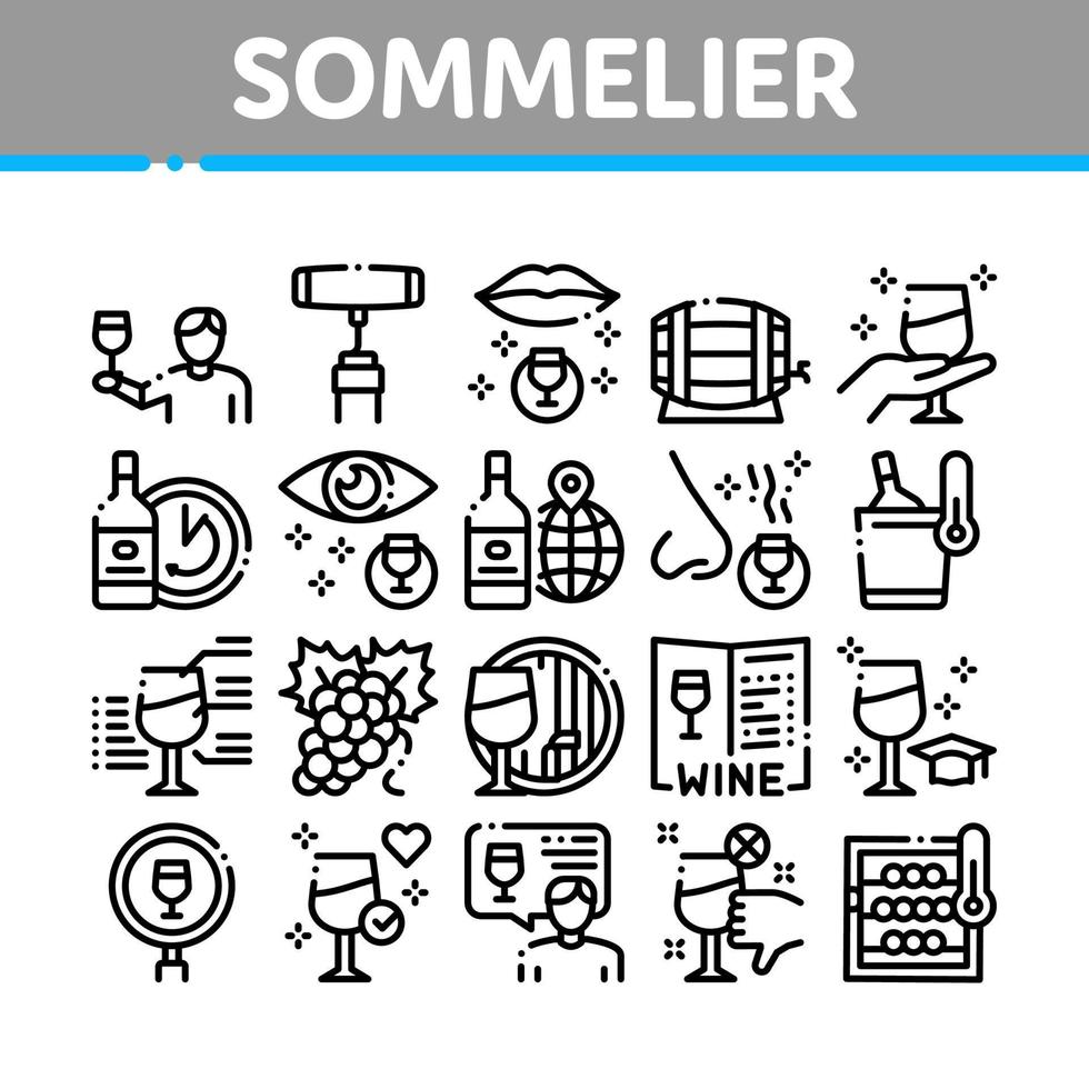 Sommelier Wine Tasting Collection Icons Set Vector