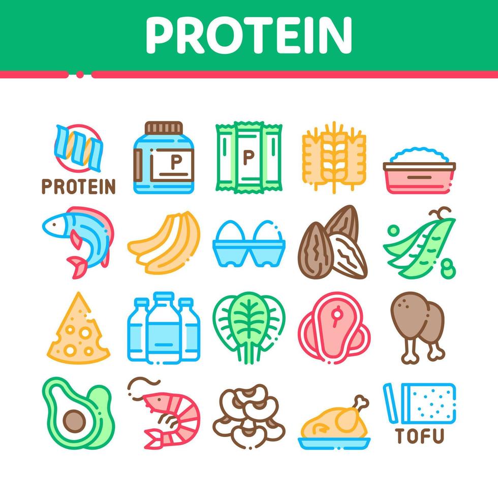 conjunto de iconos de colección de nutrición de alimentos proteicos vector