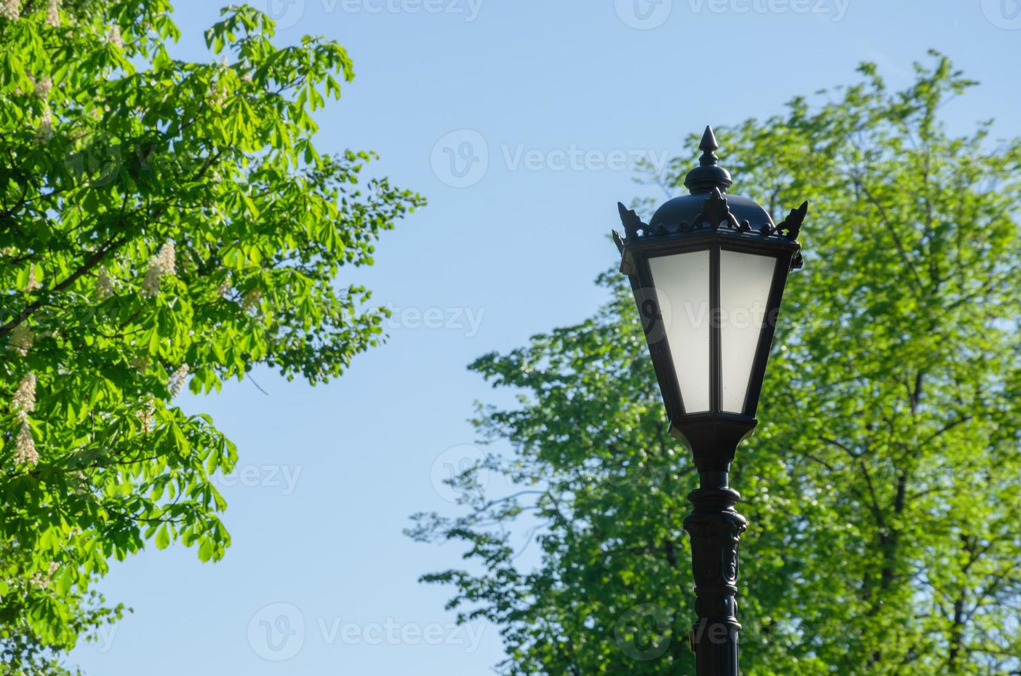street lamp in the park close-up photo