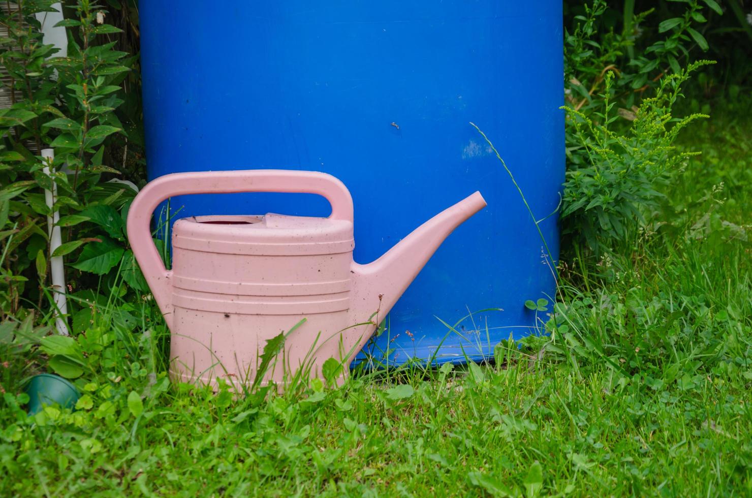 watering can for watering the garden, vegetable garden on the grass photo