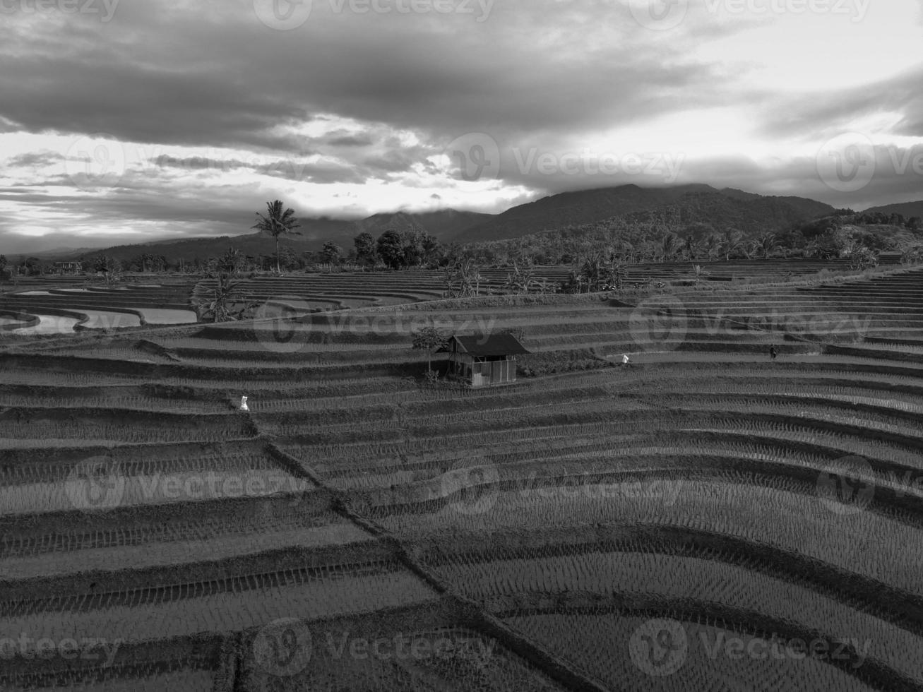 Aerial view of rice field terraces under Barisan Mountain at sunrise photo