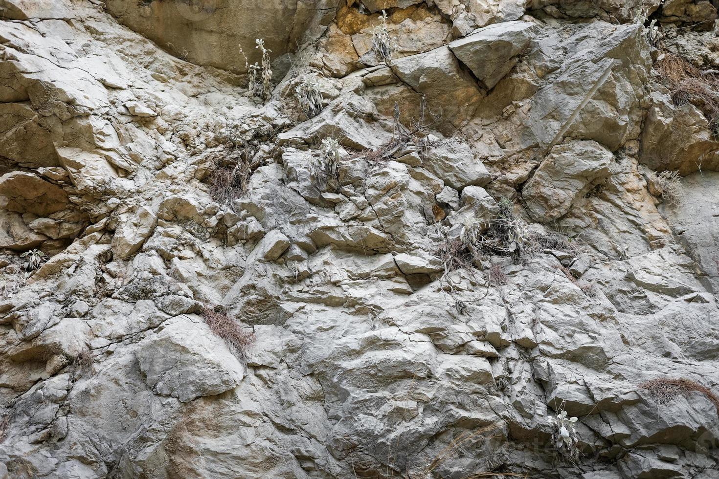 parte de una formación rocosa en capas con superficie irregular y pequeñas plantas en las grietas. foto