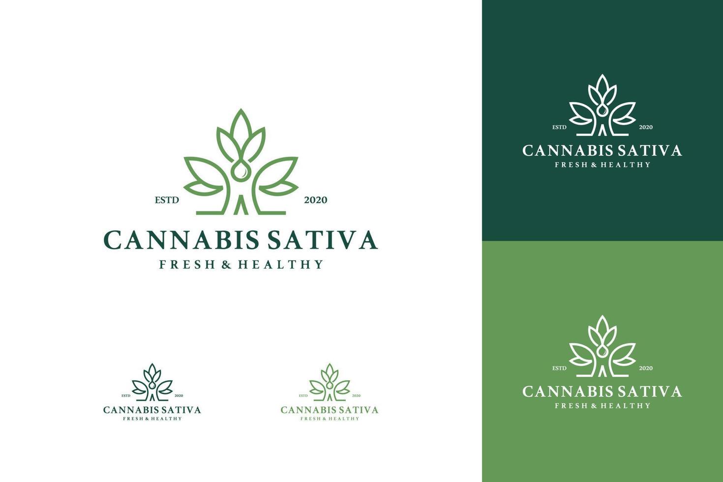 Marijuana health medical cannabis logo designs vector hemp cbd oil extract green leaf