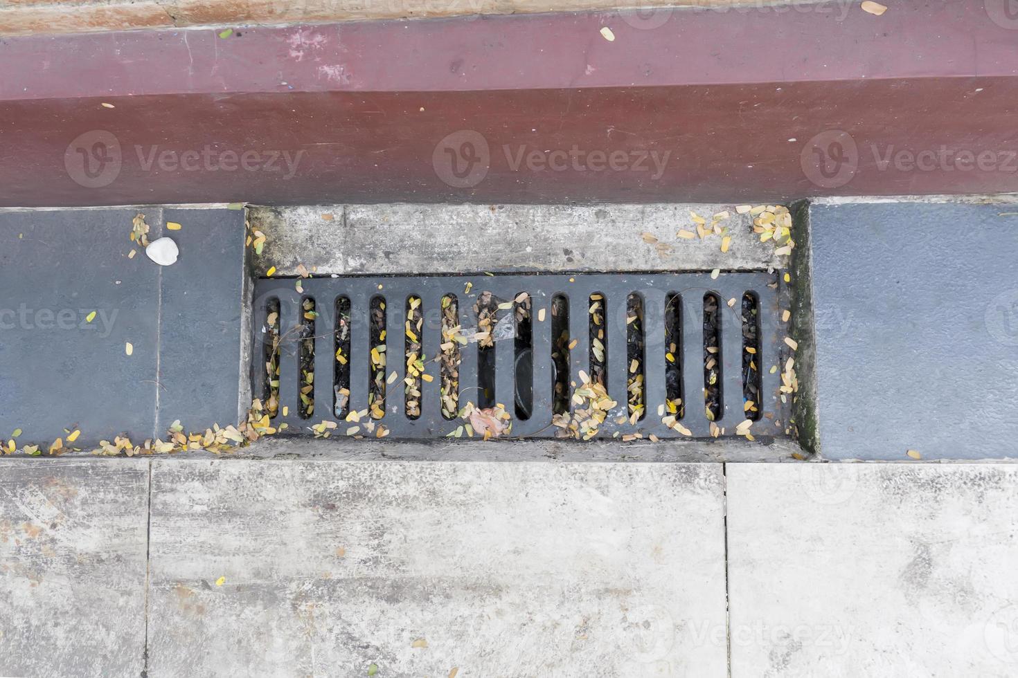An iron drainage in a city park with leaf litter stuck in it photo