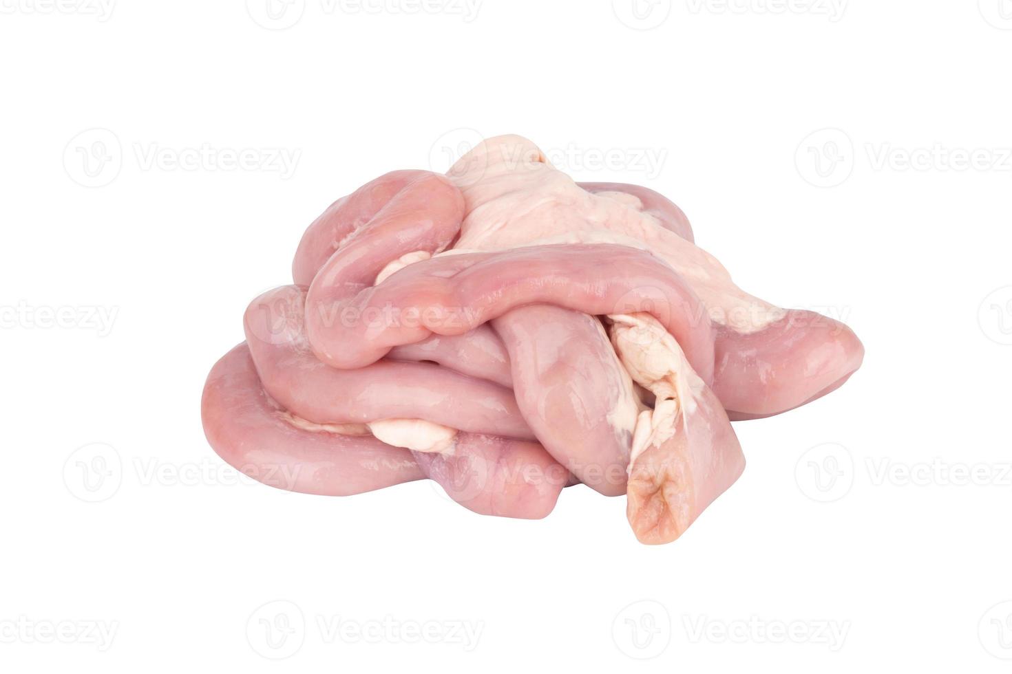 Fresh Pork Intestines isolated on white background 17599527 Stock Photo