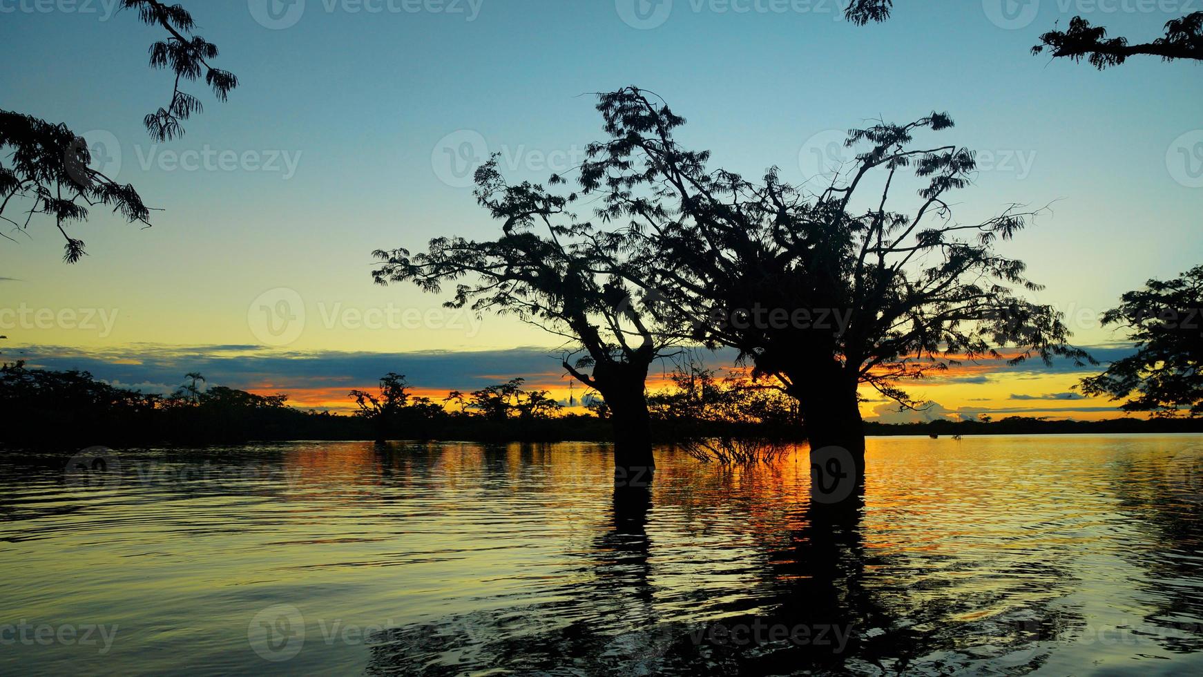 Yellow, red and blue sky sunset in the flooded forest inside Cuyabeno lagoon in the Ecuadorian Amazon photo