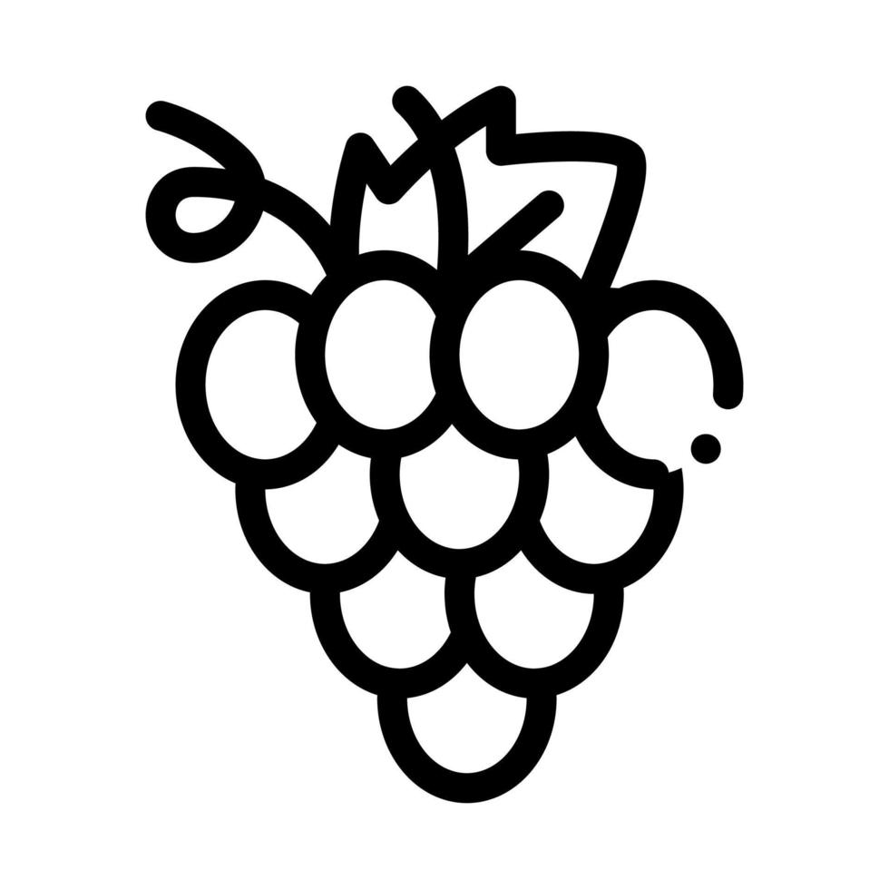 Grape Wine Berry Icon Vector Outline Illustration