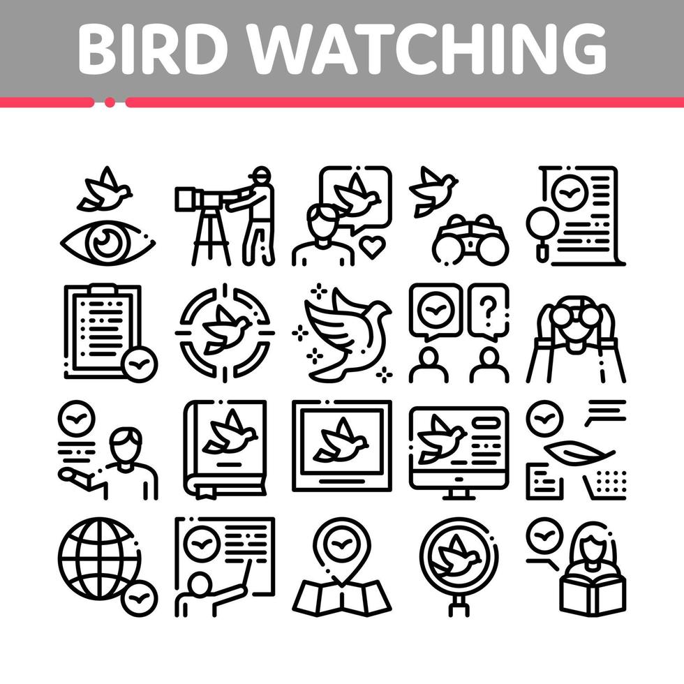 conjunto de iconos de colección de turismo de observación de aves vector