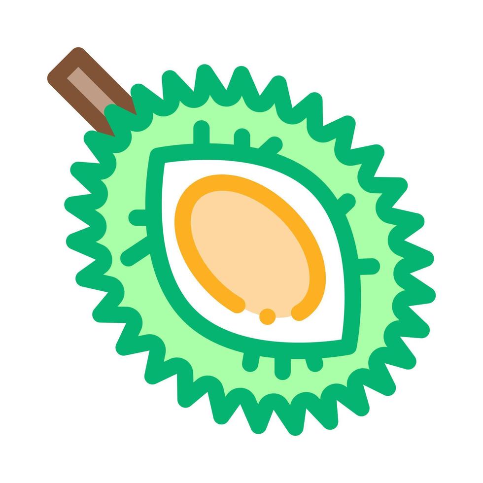 Durian Sliced Tropical Fruit Icon Thin Line Vector