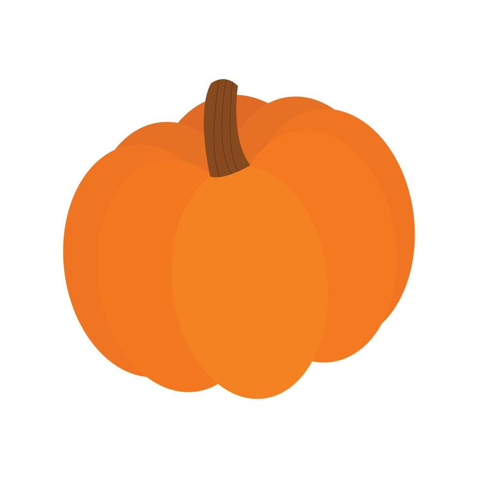 Ripe orange pumpkin vector