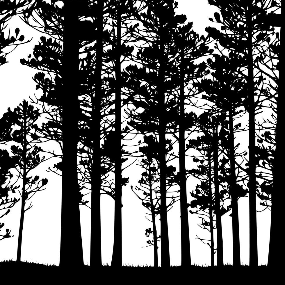 Silhouette Tall Tree Forest vector