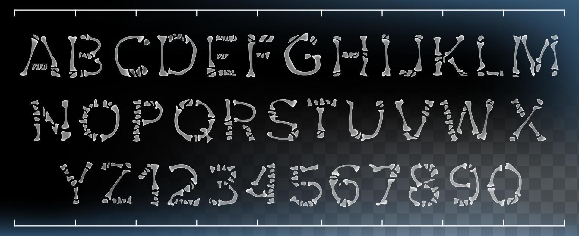 Bone Font Vector. Made Out Of Transparent Bones. Monster Horrible Font. Capitals Letters And Numbers. Anatomy Pirate Style. Isolated Transparent Illustration vector