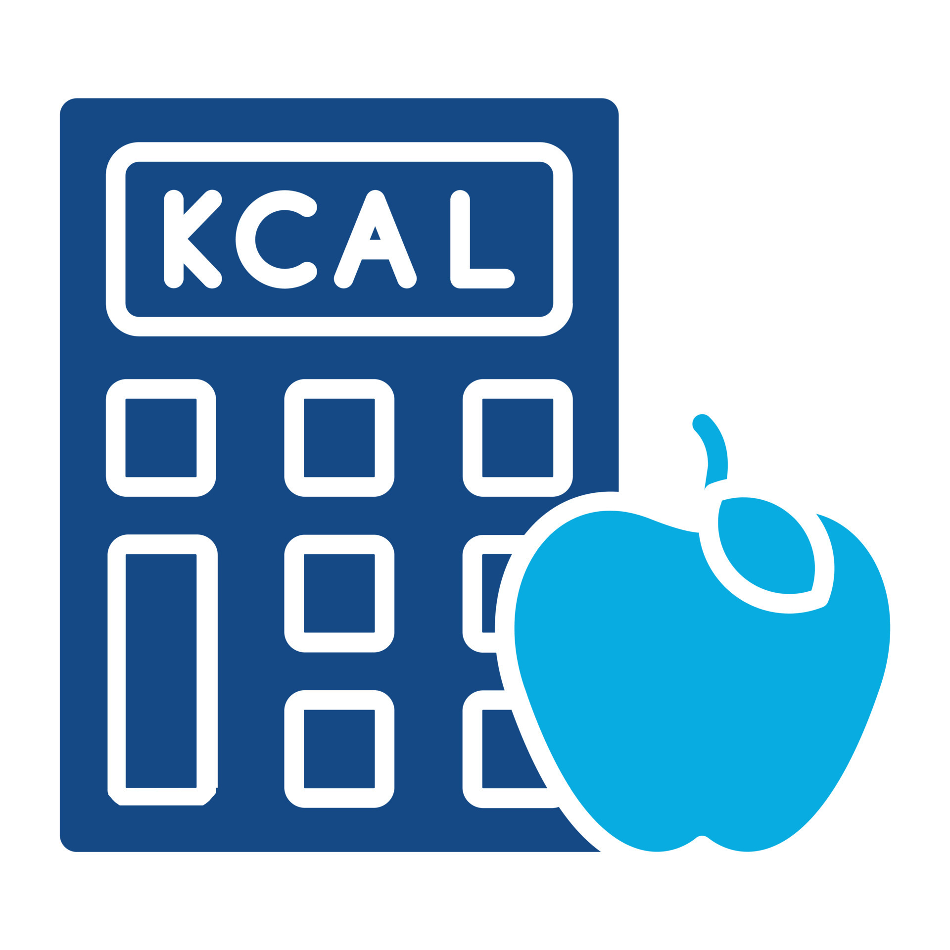 calculadora de calorías glifo icono de dos colores 17612678 Vector en