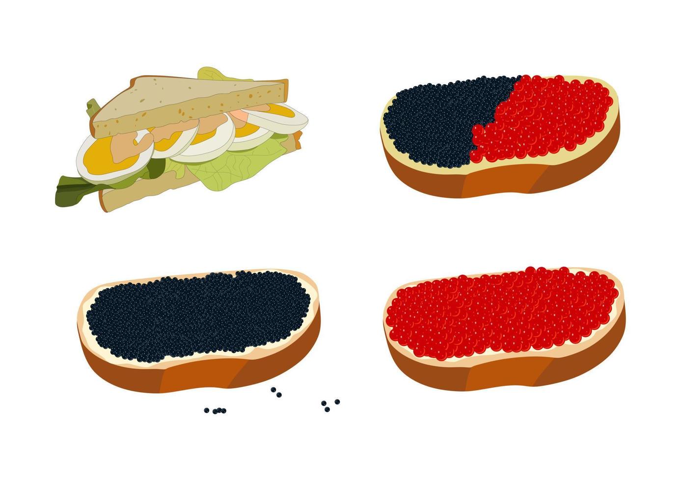 Sandwich with eggs, sauce and salad. Vector illustration. Sandwich with butter and black and red caviar fish sturgeon and salmon roe healthy luxury delicacy. Set or collection. Isolated on white.