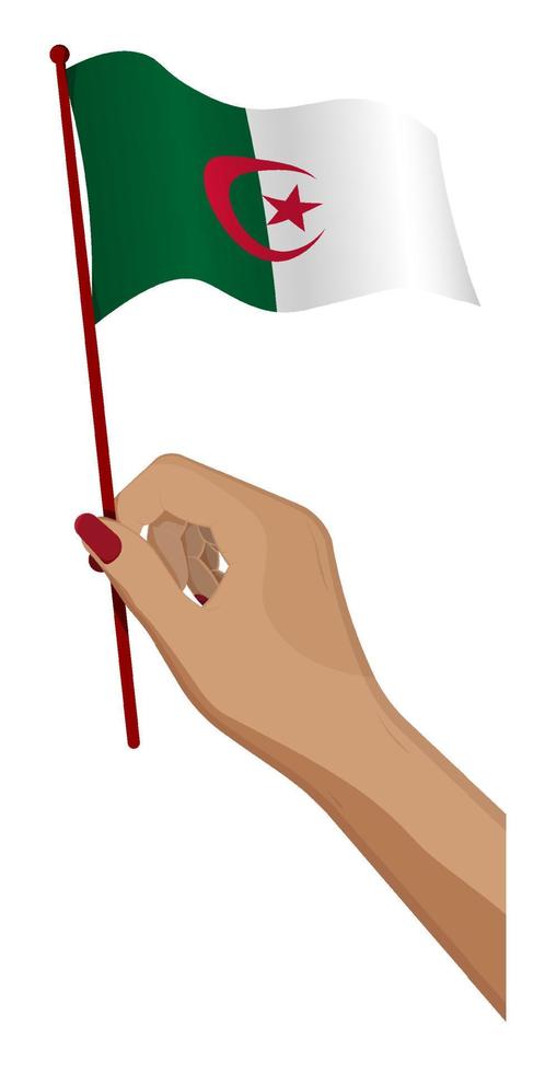 Female hand gently holds small flag of algeria. Holiday design element. Cartoon vector on white background