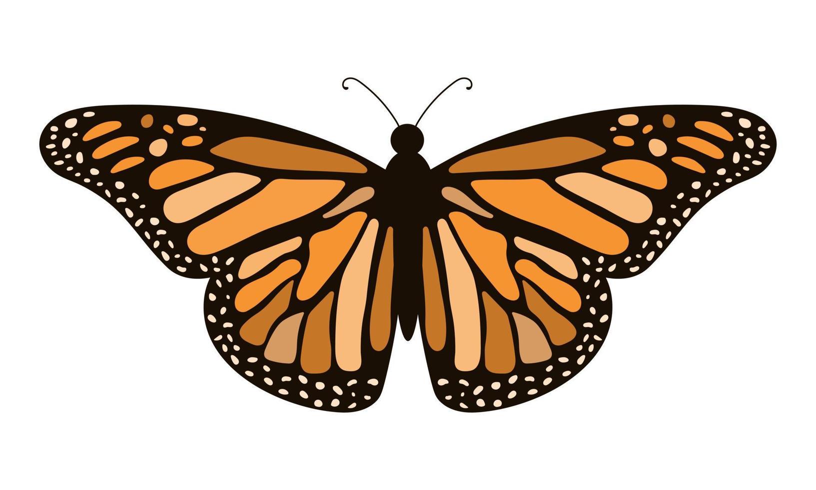 mariposa monarca. ilustración vectorial dibujada a mano. vector
