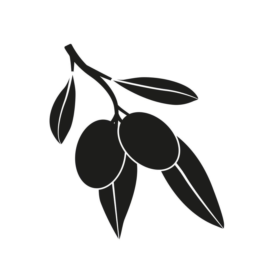 Olive oil label or logo for farm store, market. Olive branch with
