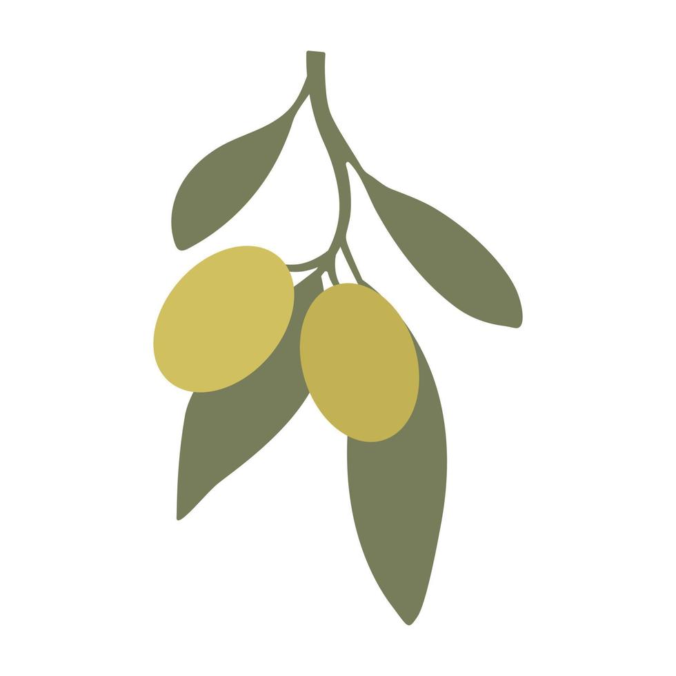 Olive branch with green olives isolated on white background. Flat style. Vector illustration