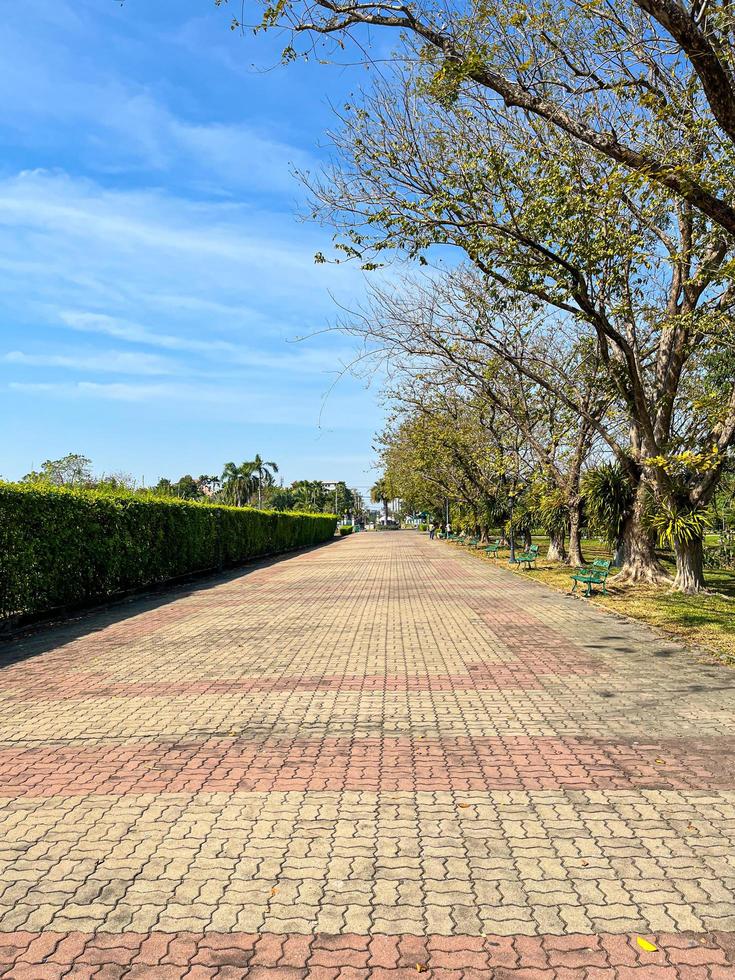 una larga pasarela o pista rodeada de árboles en el parque público suan luang rama ix. foto
