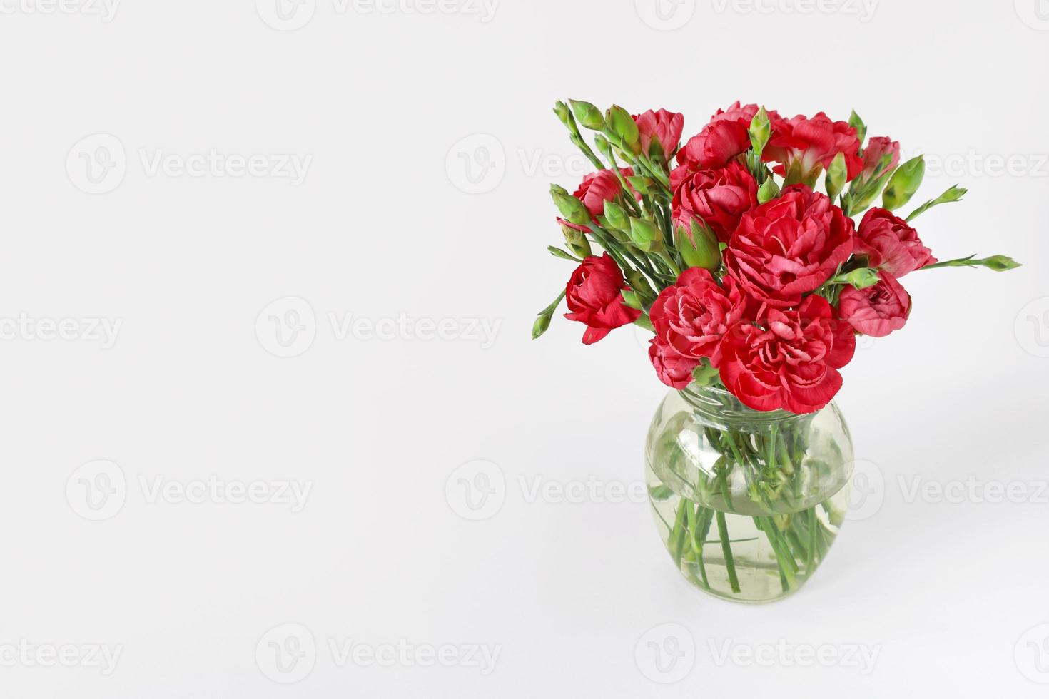 Bouquet of red or crimson carnations in little glass vase on light white background. Women's Day. Mother's Day. Grandma Day. Happy Birthday. Easter. Valentine's Day. Greeting card with place for text. photo