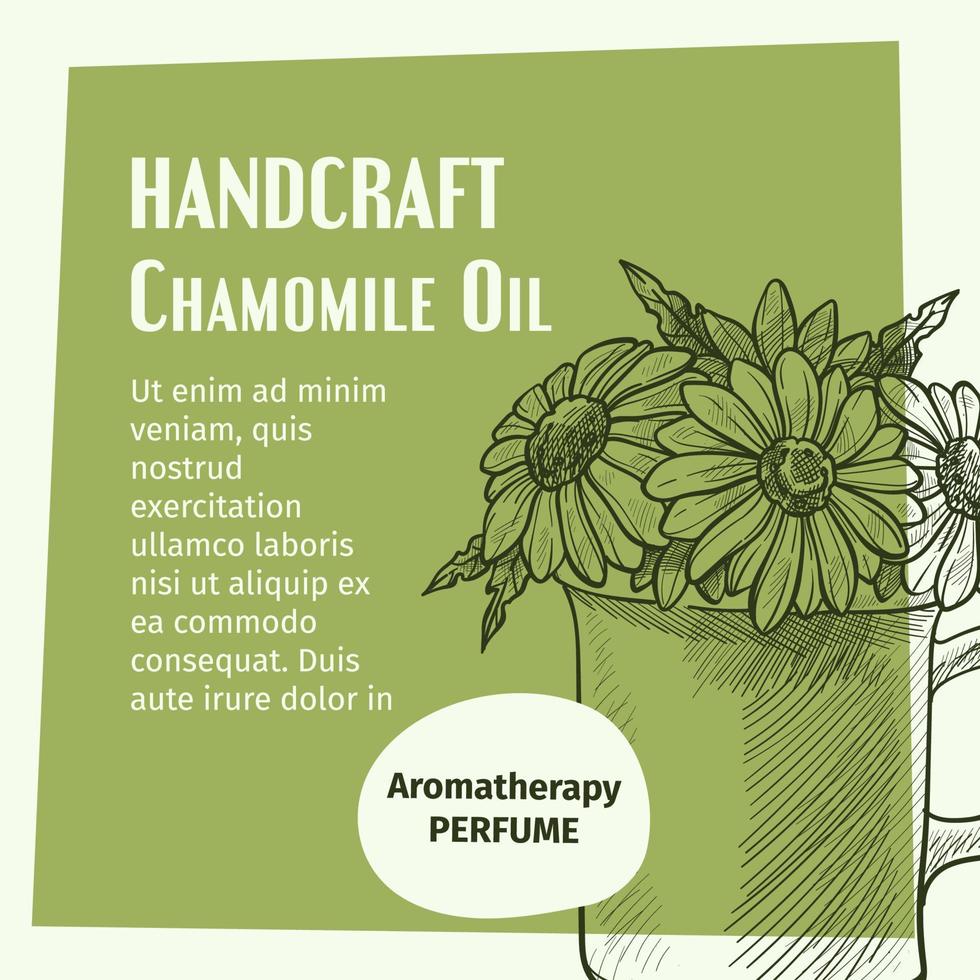 Handcraft chamomile oil, aroma perfume banner vector