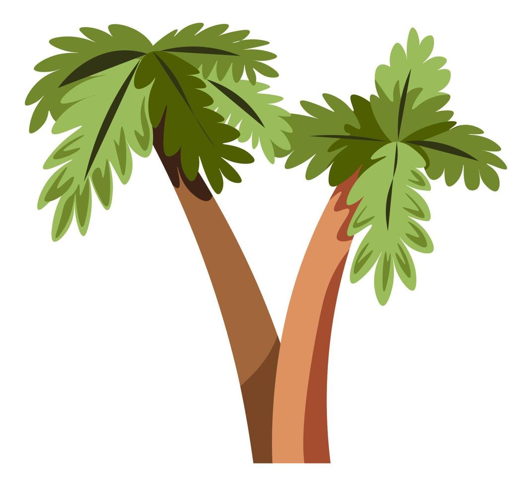 Palm tree, tropical climate botany and bushes vector