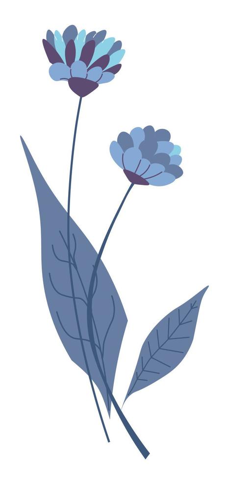 Wildflowers in blossom, isolated flowers bouquet vector