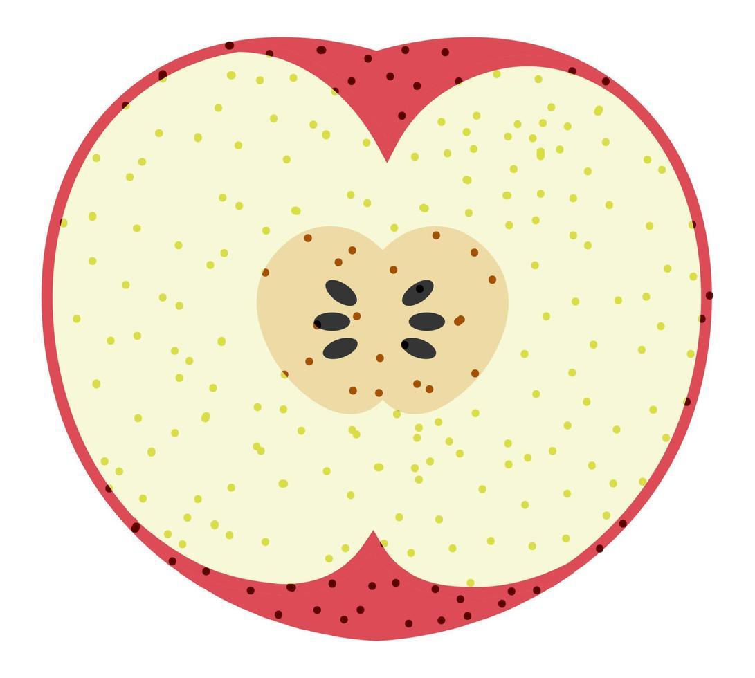 Natural and organic apple, fruits cut in half vector