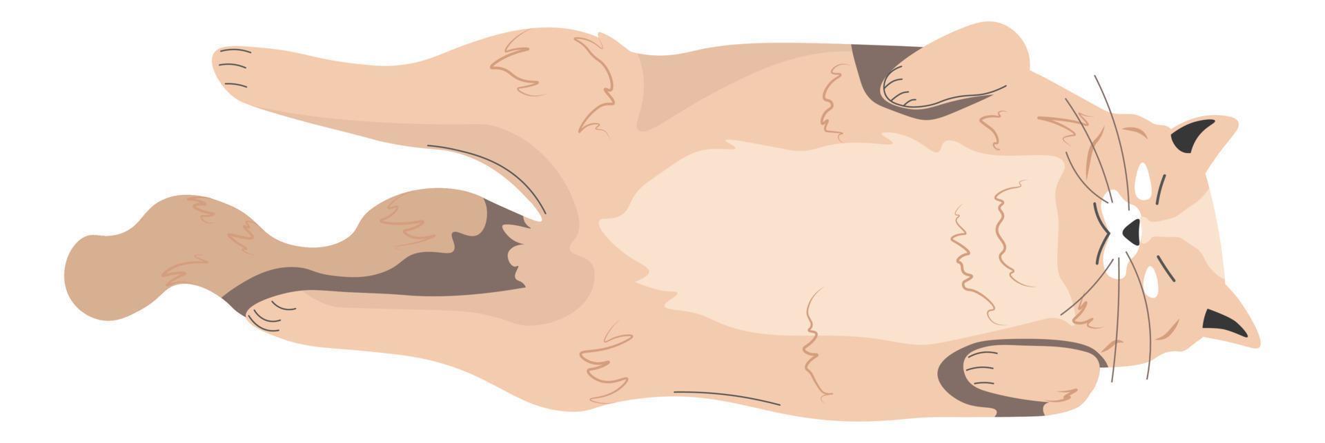 Lazy kitten sleeping and napping, kitty character vector