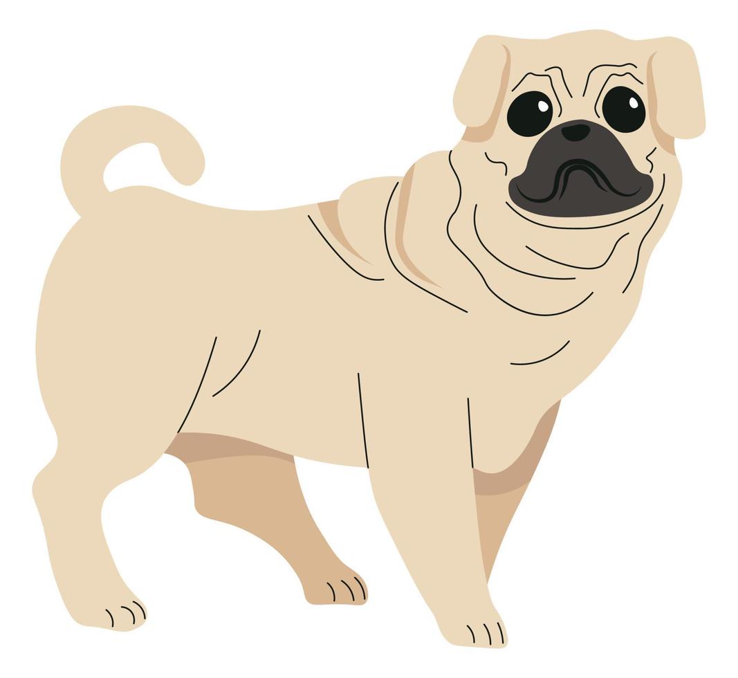 cachorro pug o perro adulto, vector animal canino de raza