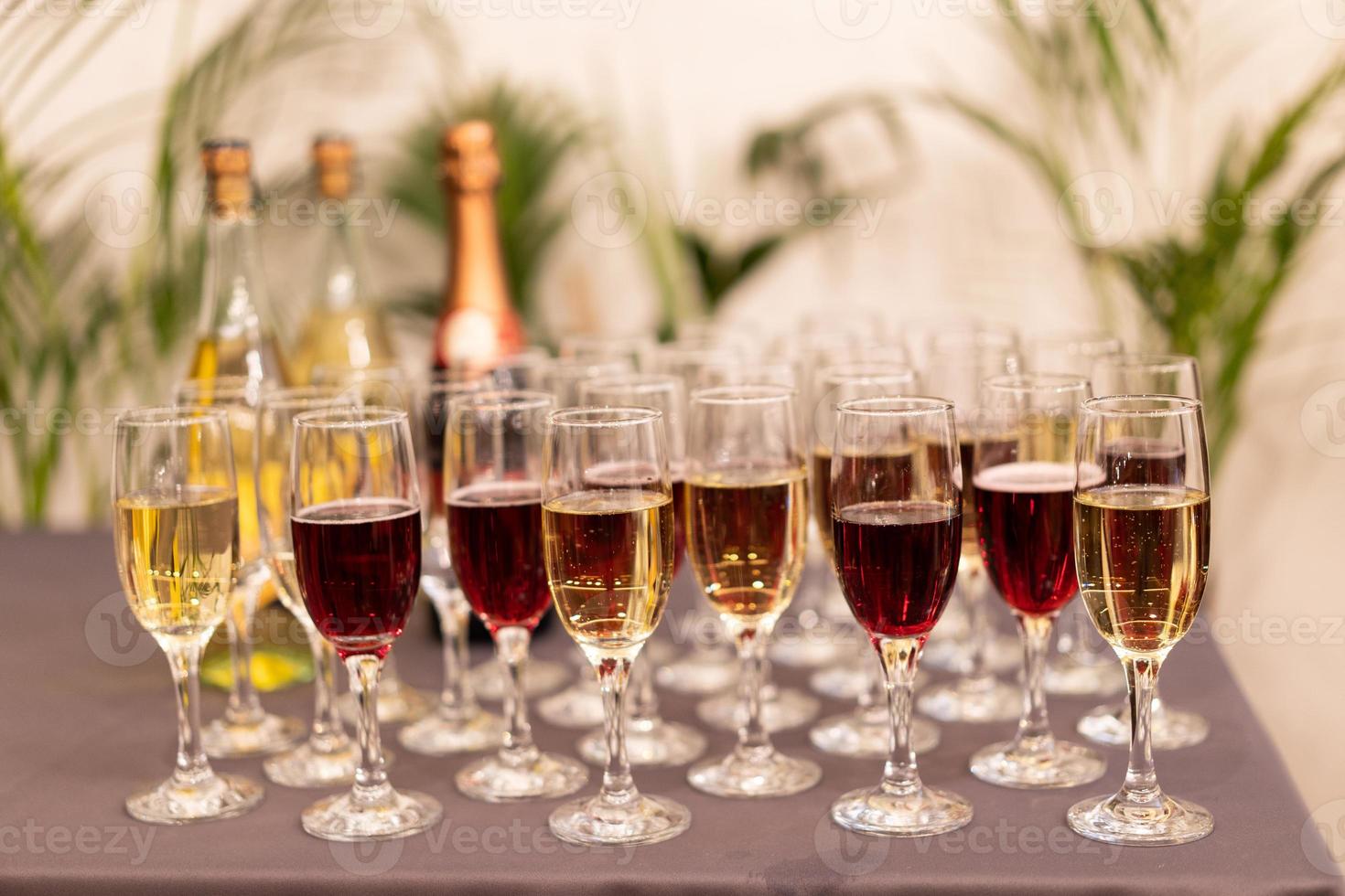 many glasses of wine on the table buffet photo