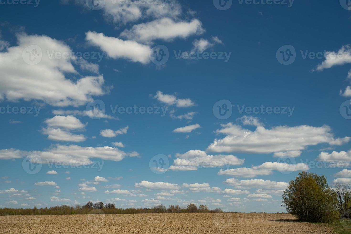 beautiful landscape of blue sky with clouds and field in Ukraine photo