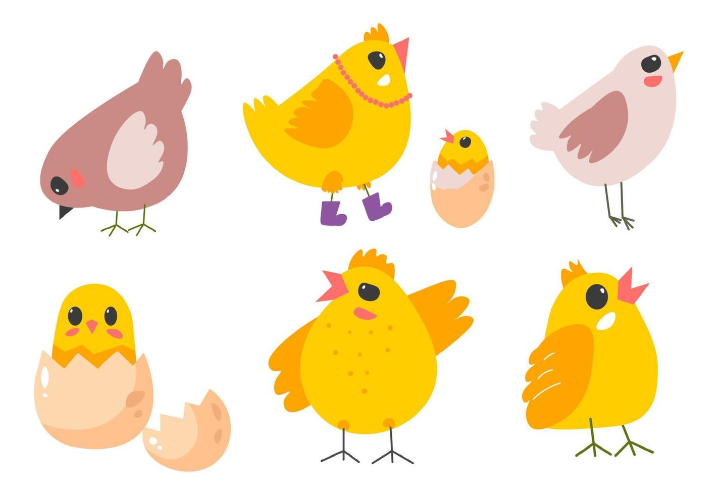 Chicken hen and small chick, bird and rooster vector