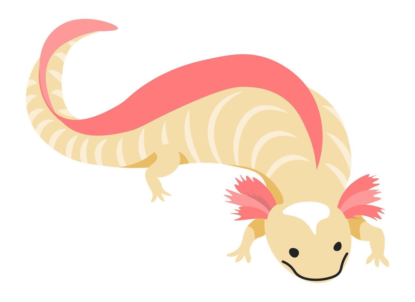Varan or iguana reptile animal exotic fauna pet vector