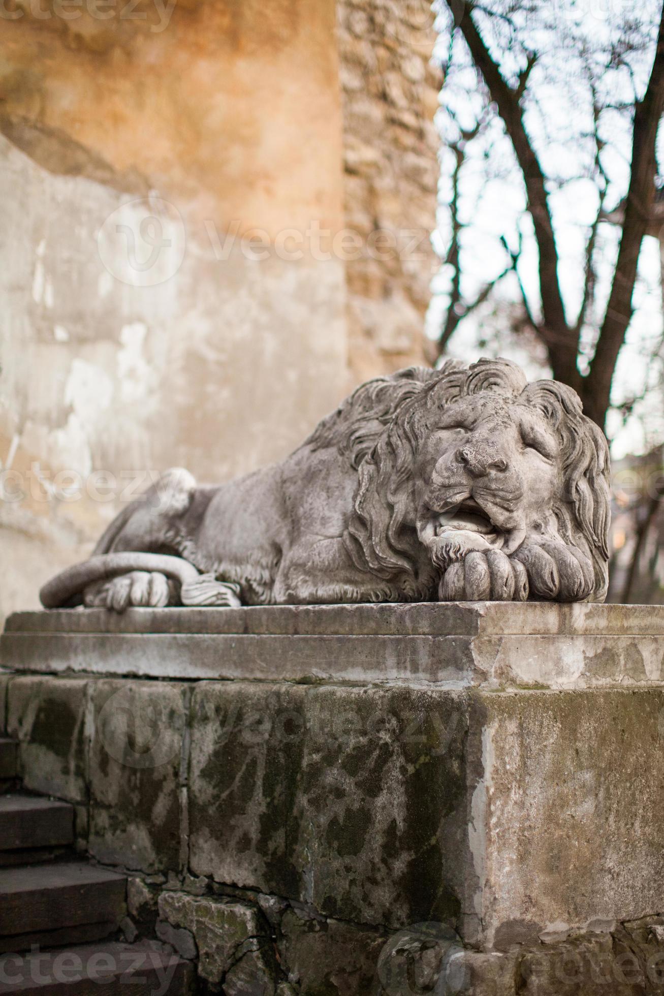 Ukraine, Lviv, historical lion sculpture, symbol of the city. 17622730